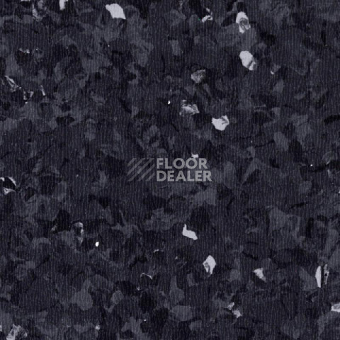 Линолеум Tarkett iq Toro Sc BLACK 0103 фото 1 | FLOORDEALER